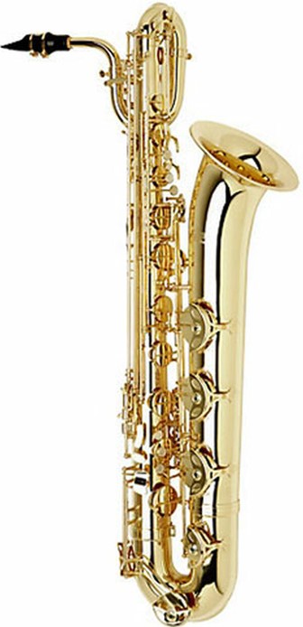 good saxophone on rent goa