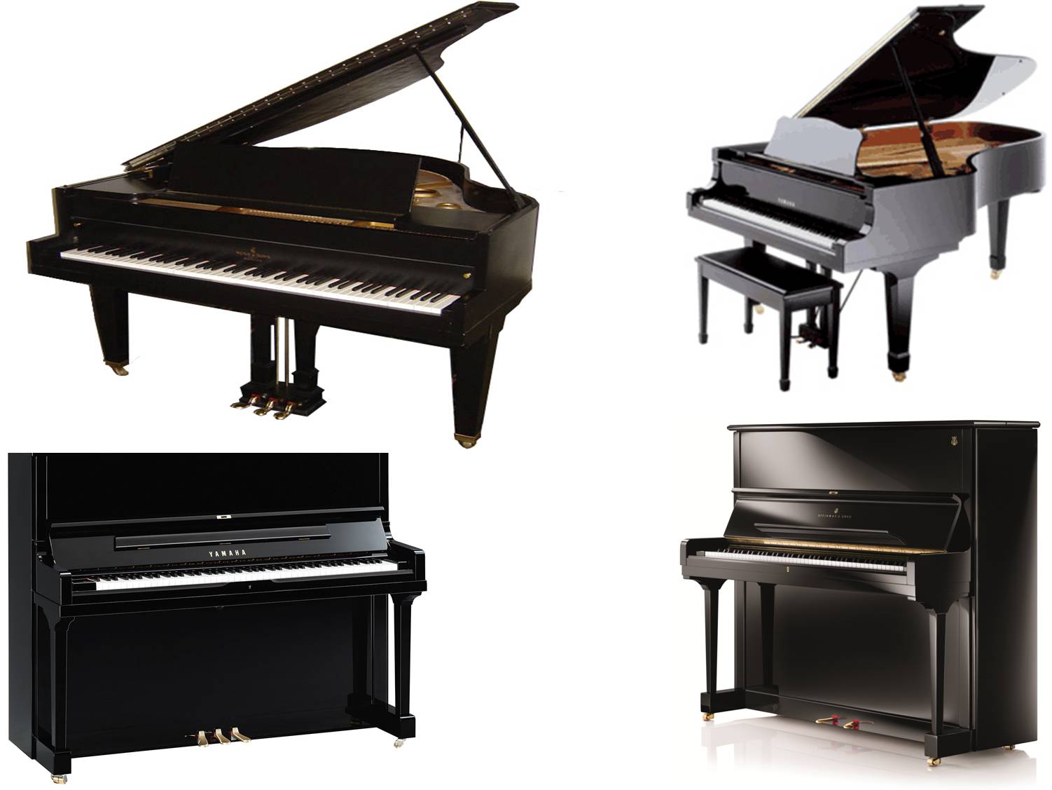 best piano on rent goa